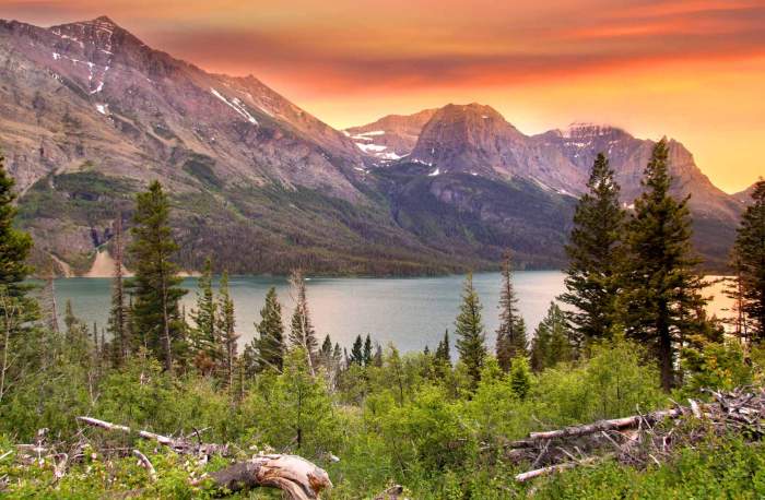 16 Best Glacier National Park Hikes | The Planet D 16 Best Glacier National Park Hikes | The Planet D