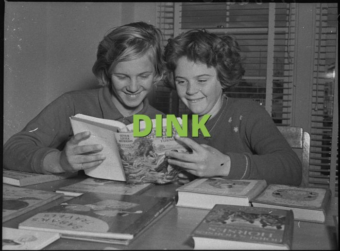 3 STEPS TO THE PERFECT DINK – Dink Drop Trainer