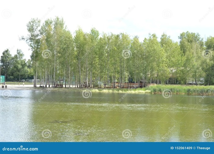 Relaxing in countryside stock photo. Image of peaceful - 26796038 Relaxing in countryside stock photo. Image of peaceful - 26796038